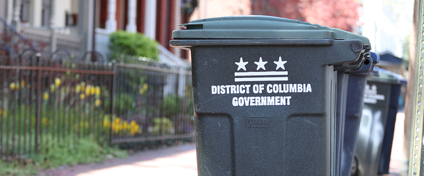 Image of DC Super can lined up on a street near row houses.
